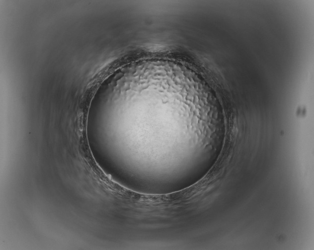 X0000111651301200907171534