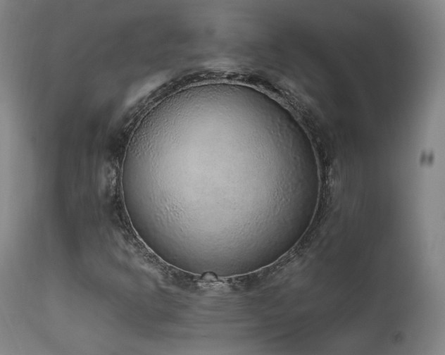 X0000111651302200907171534