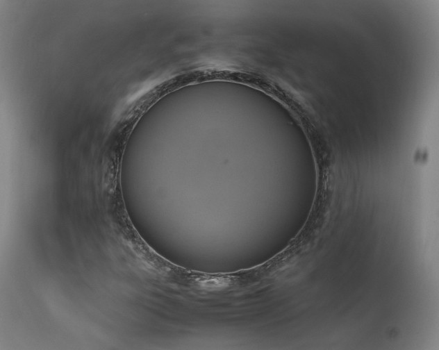 X0000111651303200907171534