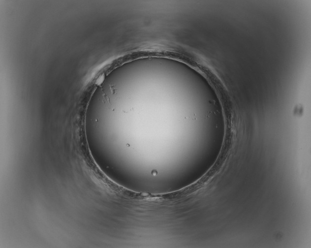 X0000111651304200907171534