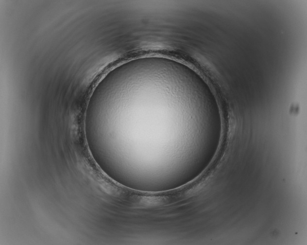X0000111651305200907171534