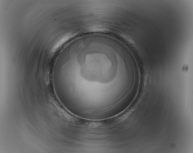 X0000111651306200907171534