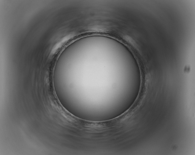 X0000111651307200907171534