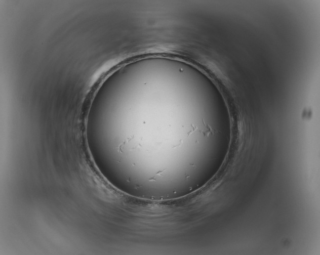 X0000111651308200907171534