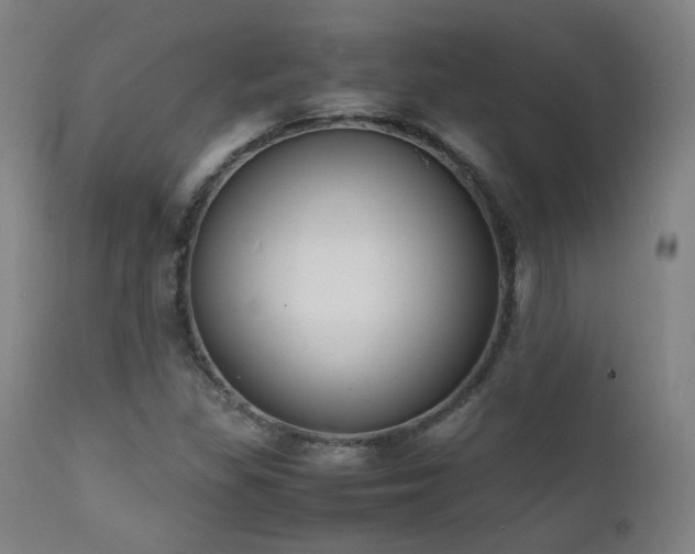 X0000111651309200907171534