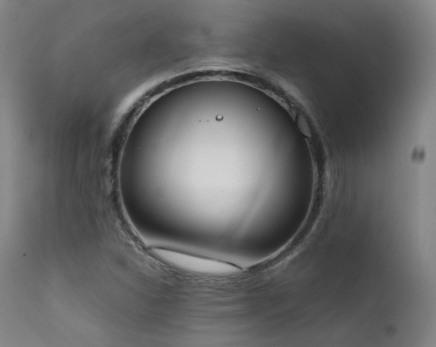 X0000111651310200907171534