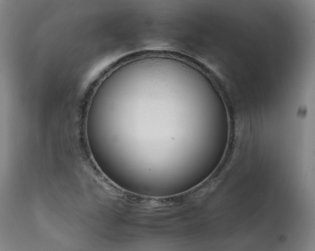X0000111651311200907171534