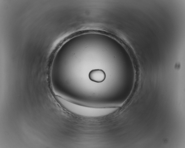 X0000111651312200907171534