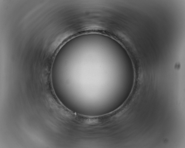 X0000111651313200907171534