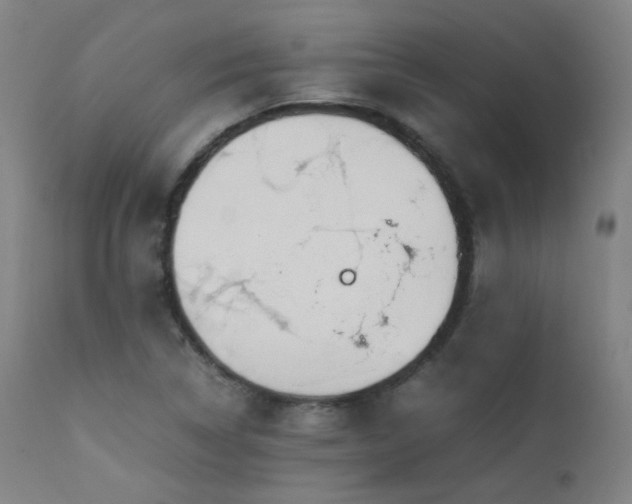 X0000111651314200907171535