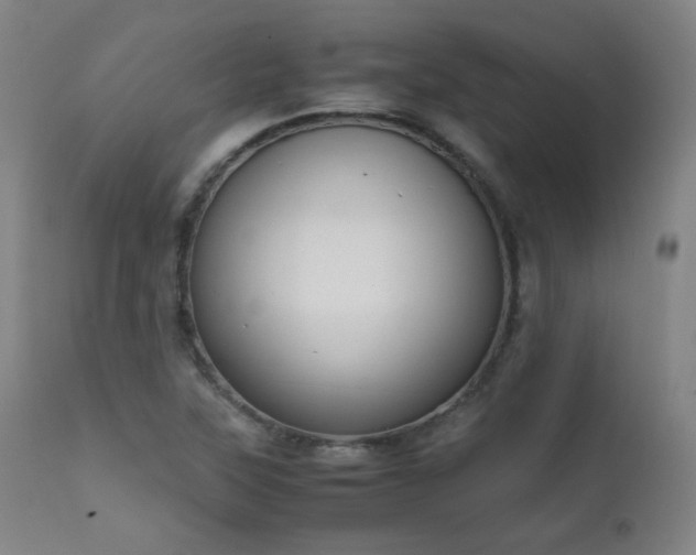 X0000111651315200907171535