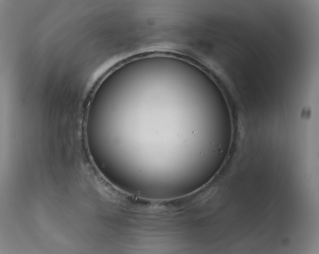 X0000111651316200907171535