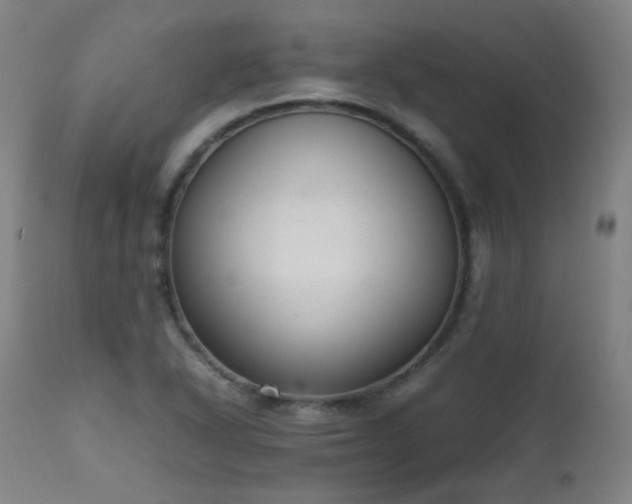 X0000111651318200907171535