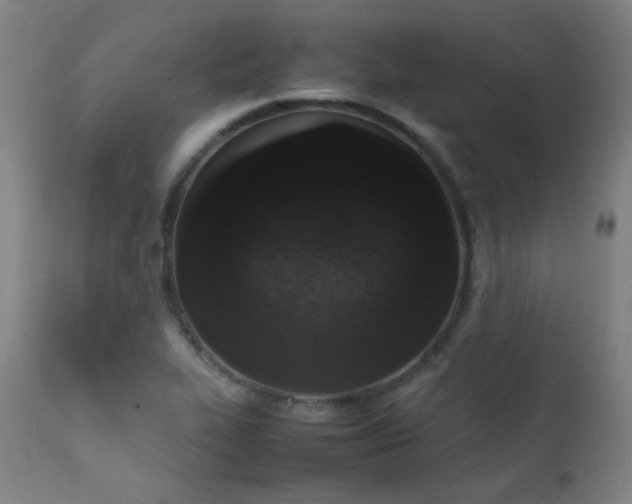 X0000111651319200907171535