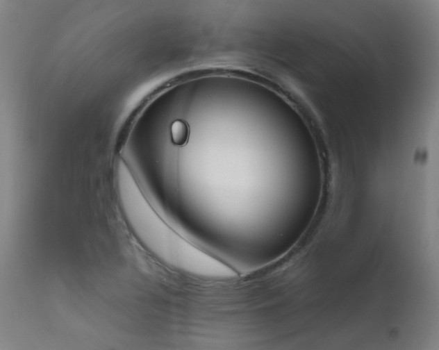 X0000111651320200907171535