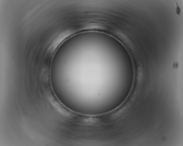 X0000111651321200907171535