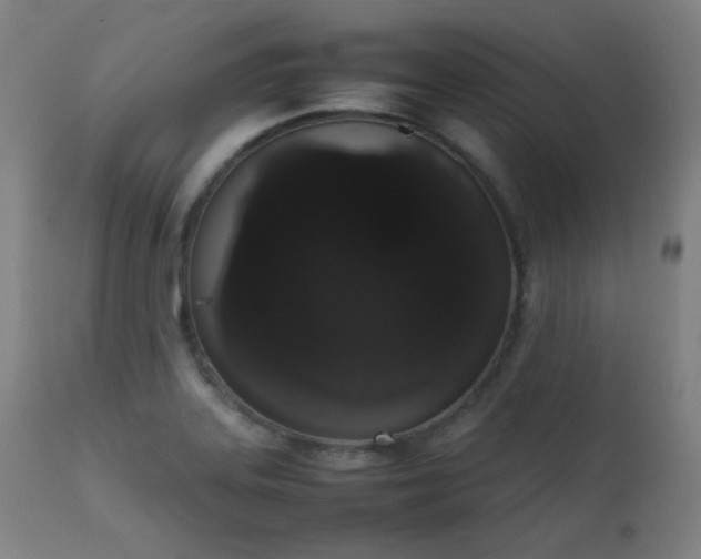 X0000111651323200907171535