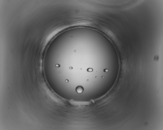 X0000111651324200907171535