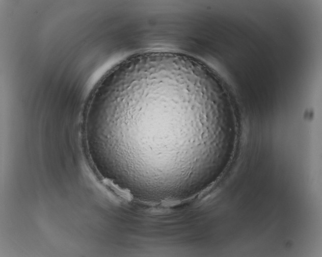 X0000111651325200907171535