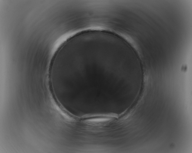 X0000111651327200907171535