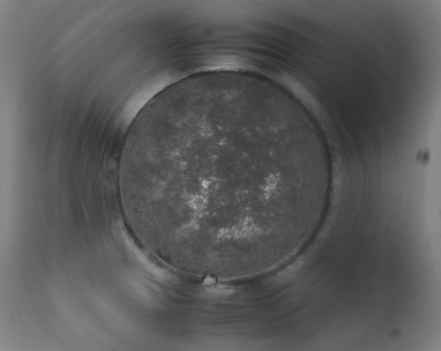 X0000111651329200907171535