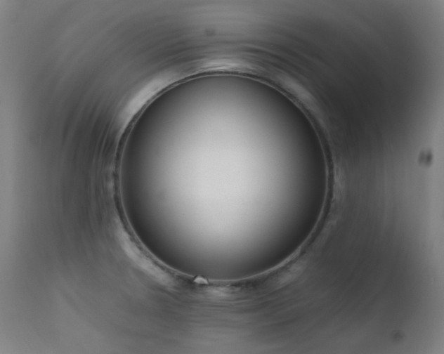 X0000111651330200907171535