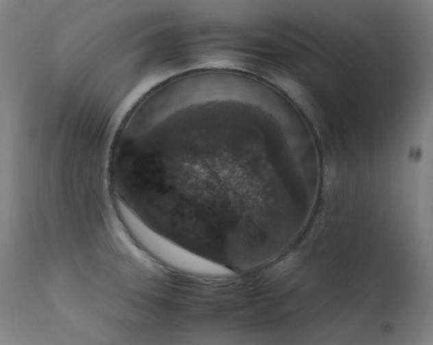 X0000111651331200907171535