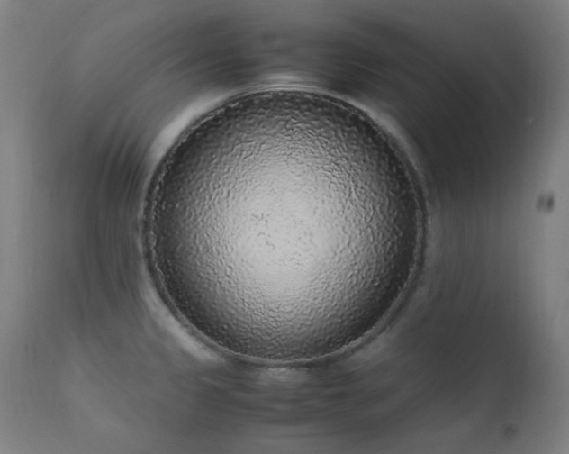 X0000111651333200907171535
