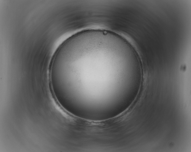 X0000111651335200907171535