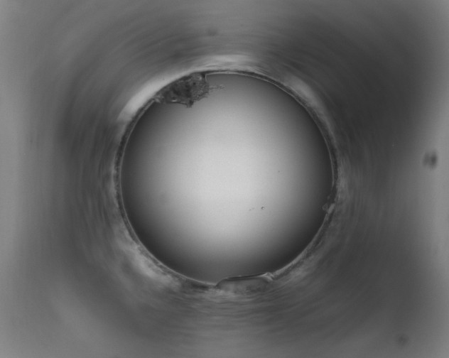X0000111651336200907171535