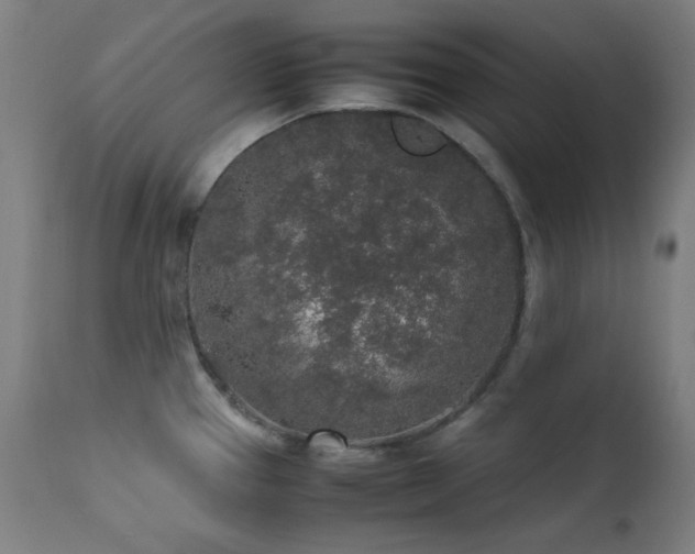 X0000111651337200907171535
