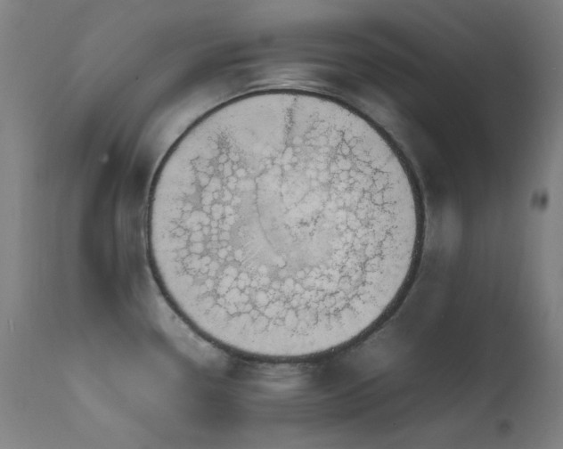 X0000111651338200907171535