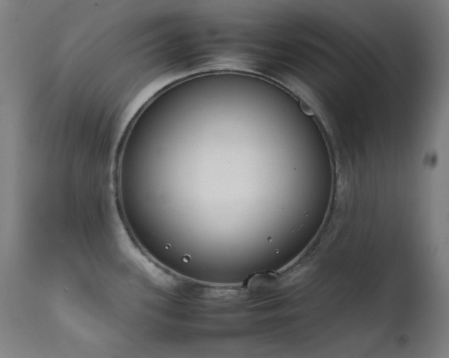 X0000111651339200907171535