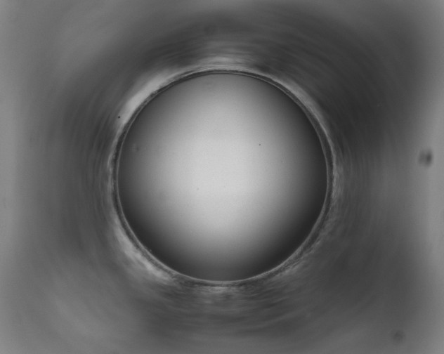 X0000111651341200907171535