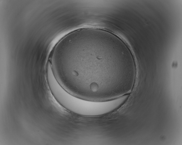 X0000111651344200907171535