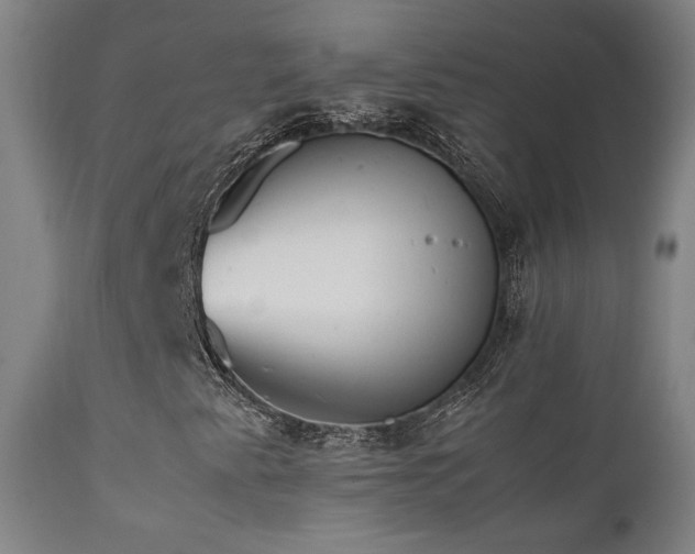 X0000111651345200907171534