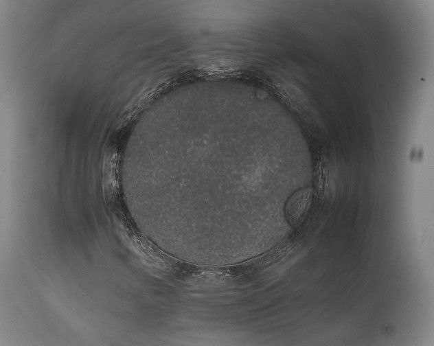 X0000111651346200907171534
