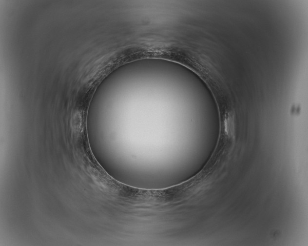 X0000111651347200907171534