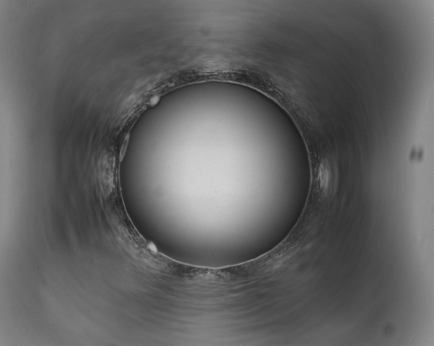 X0000111651348200907171534