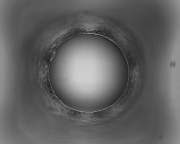 X0000111651349200907171534