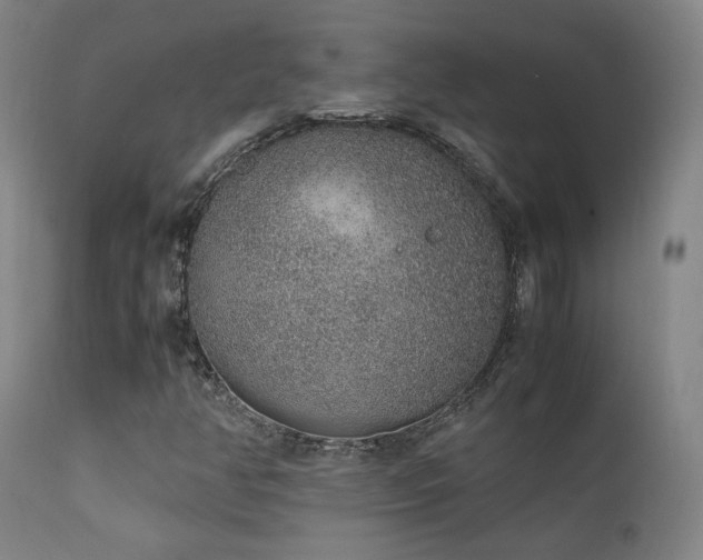 X0000111651350200907171534