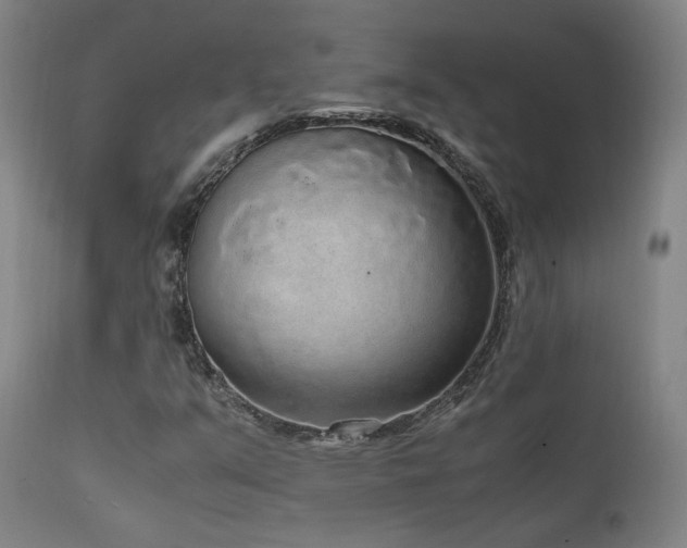 X0000111651351200907171534