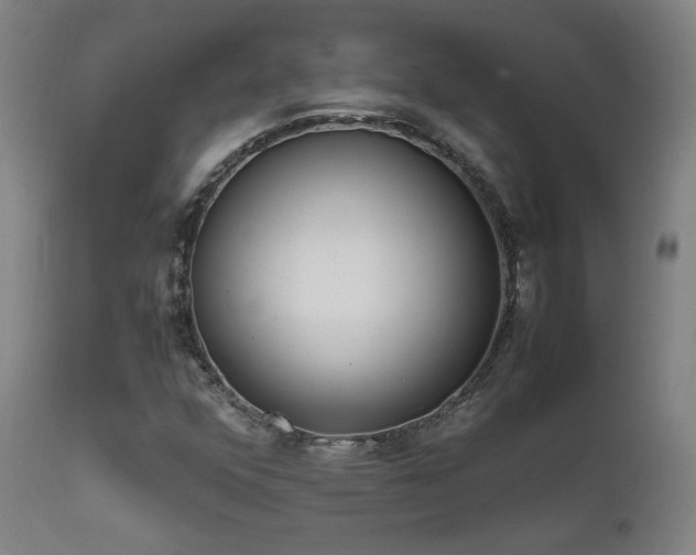 X0000111651352200907171534