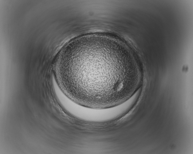 X0000111651353200907171534