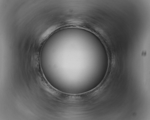 X0000111651354200907171534