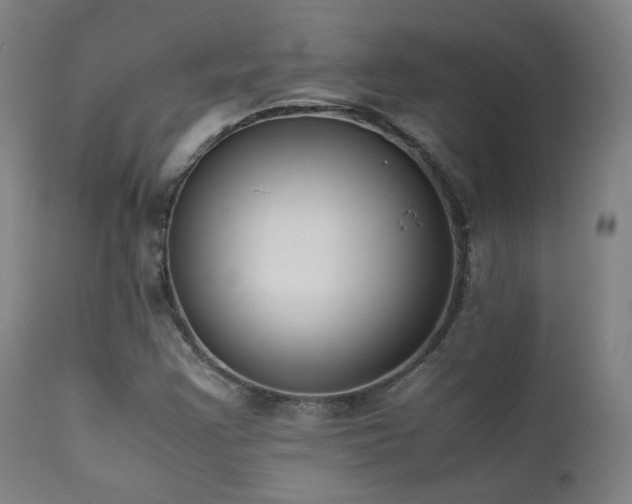 X0000111651355200907171534