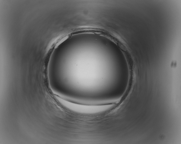 X0000111651357200907171534