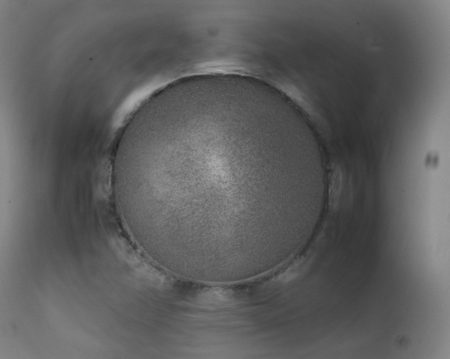 X0000111651358200907171534