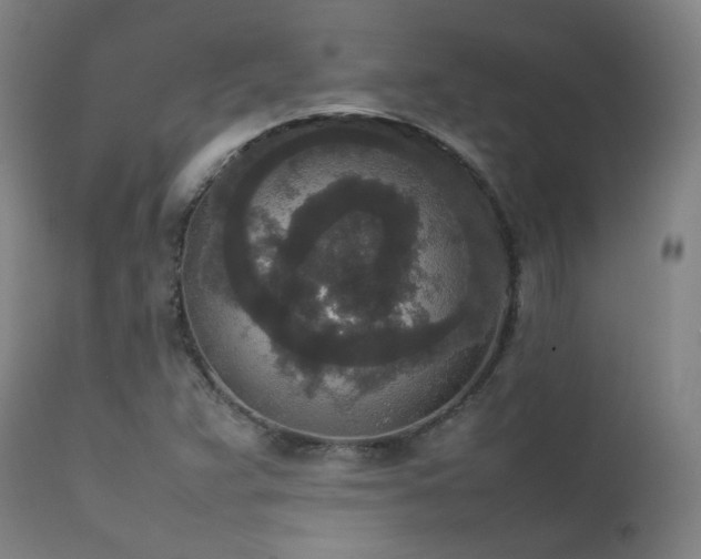 X0000111651359200907171534