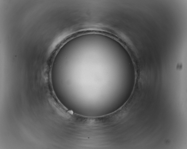 X0000111651360200907171534